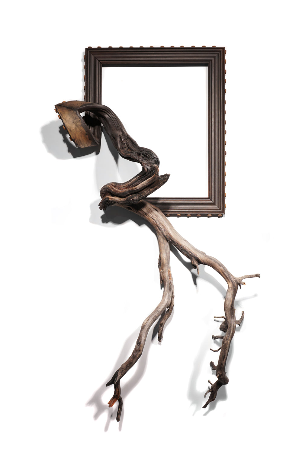 Fusion Frame Sculpture by Darryl Cox Jr - Bender