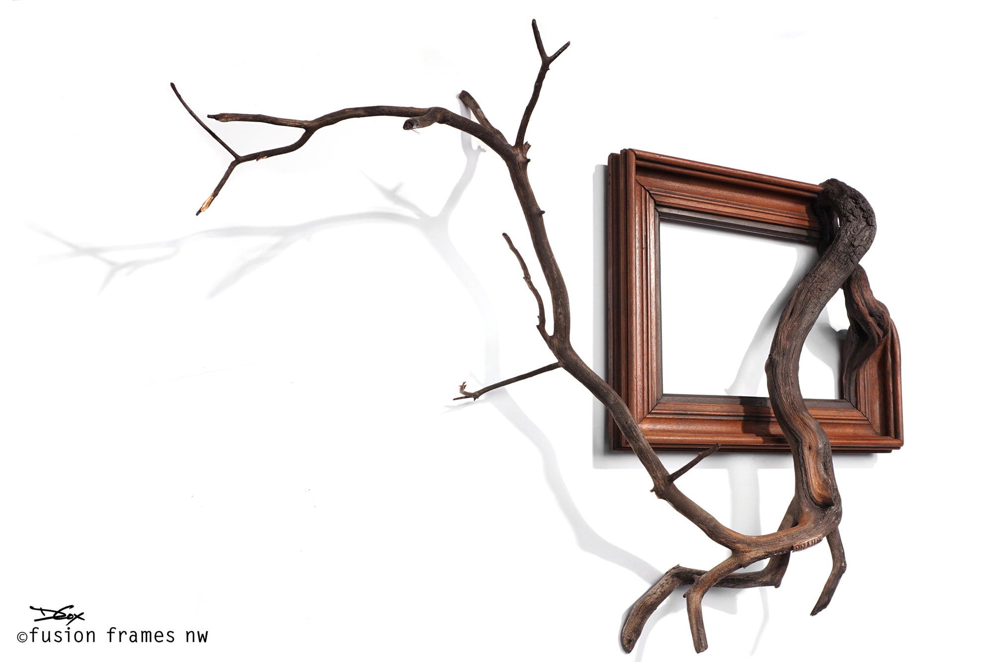 Fusion Frame Sculpture by Darryl Cox Jr - BRAHM 2