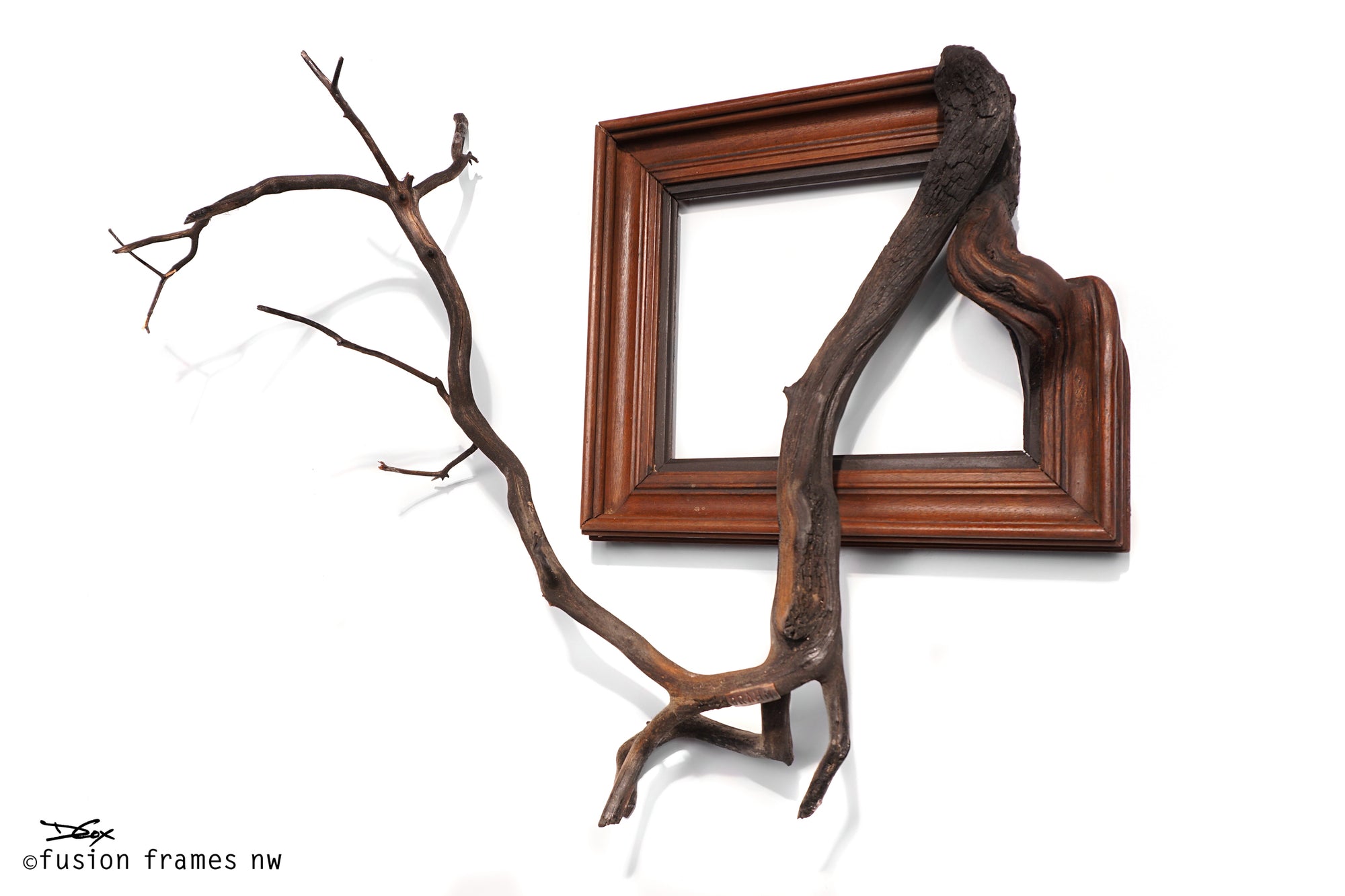 Fusion Frame Sculpture by Darryl Cox Jr - BRAHM 3