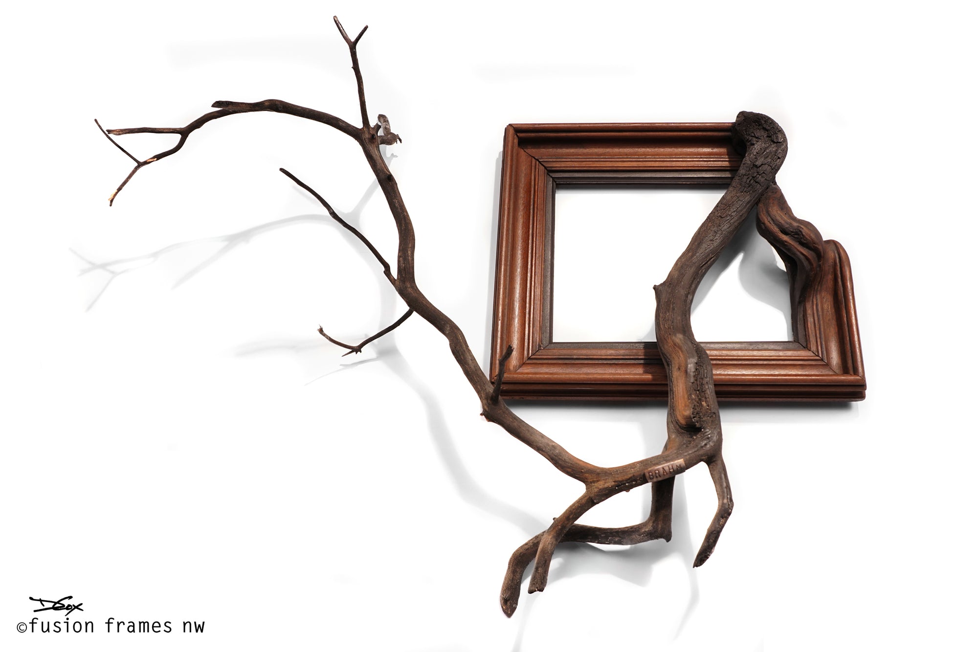 Fusion Frame Sculpture by Darryl Cox Jr - BRAHM 4