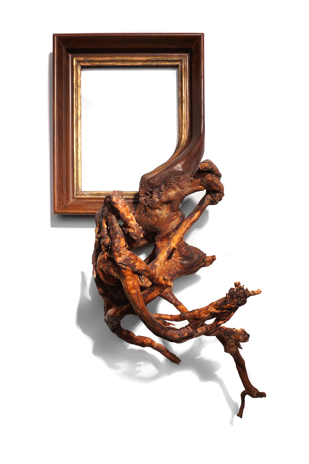 Fusion Frame Sculpture by Darryl Cox Jr - Chiron