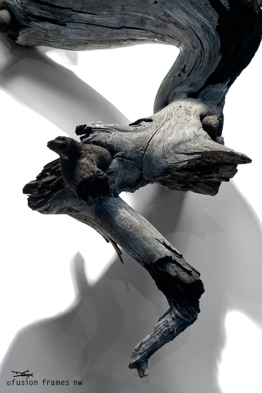Fusion Frame Sculpture by Darryl Cox Jr - HERA 11