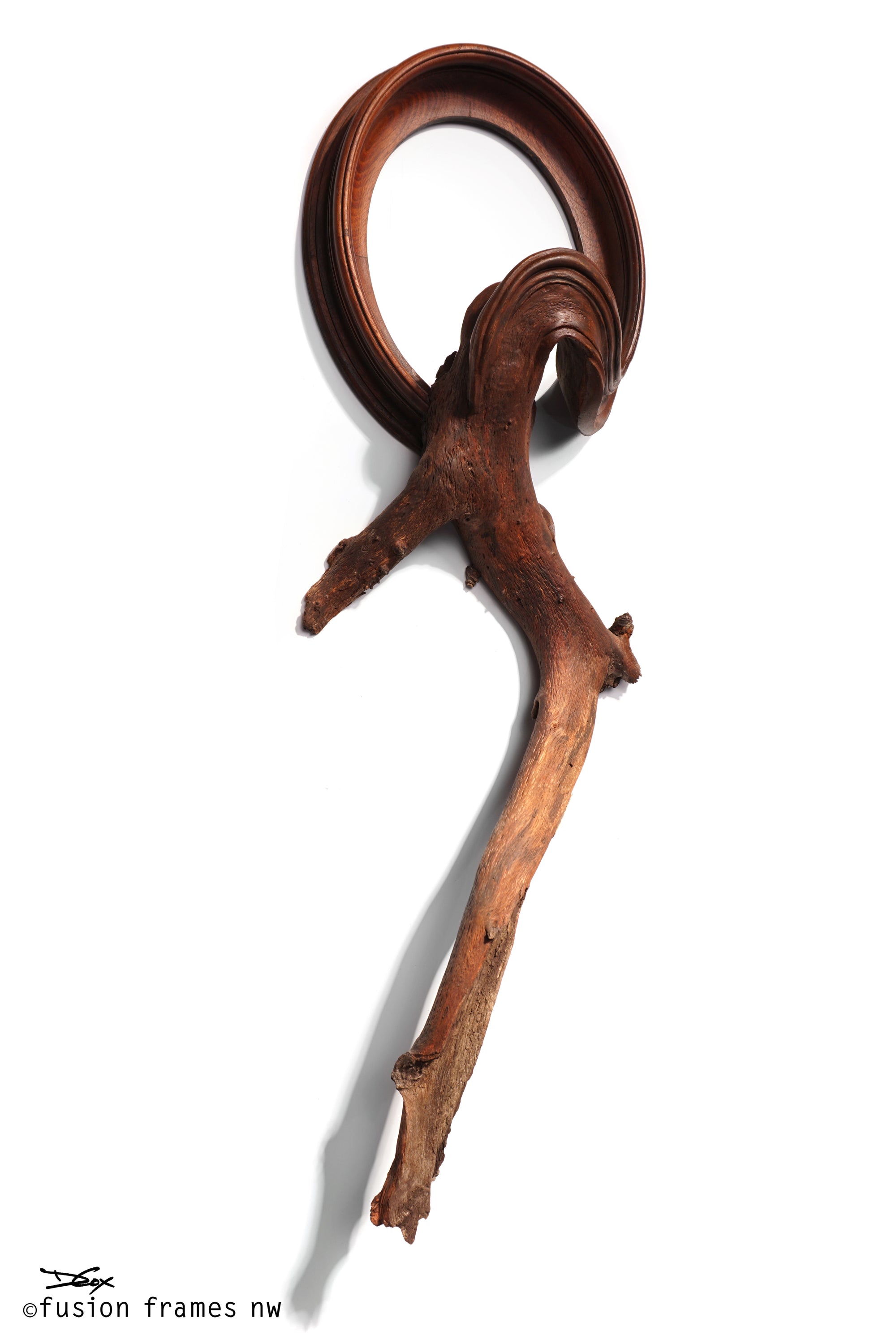 Fusion Frame Sculpture by Darryl Cox Jr - SALAZAR 2