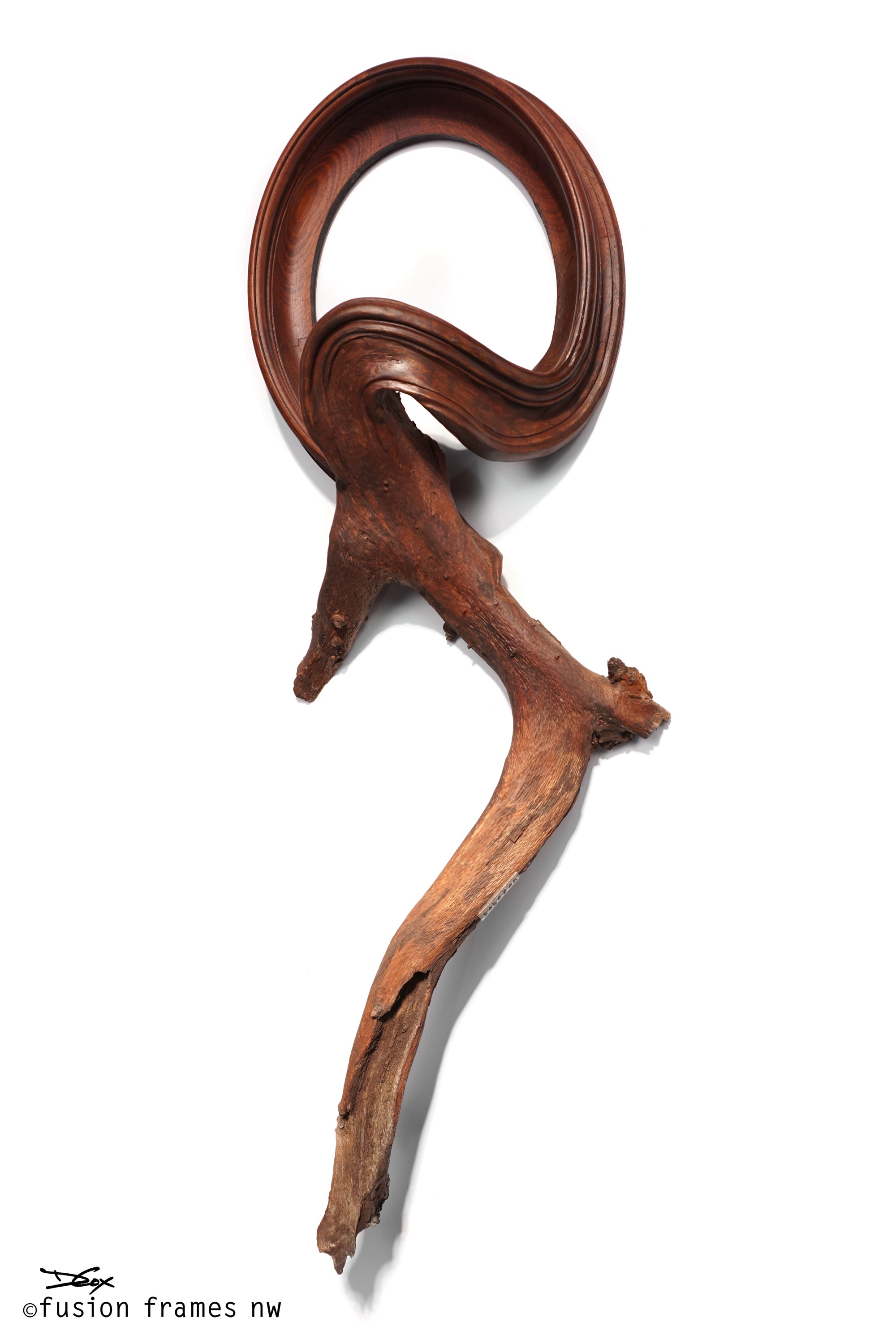 Fusion Frame Sculpture by Darryl Cox Jr - SALAZAR 3