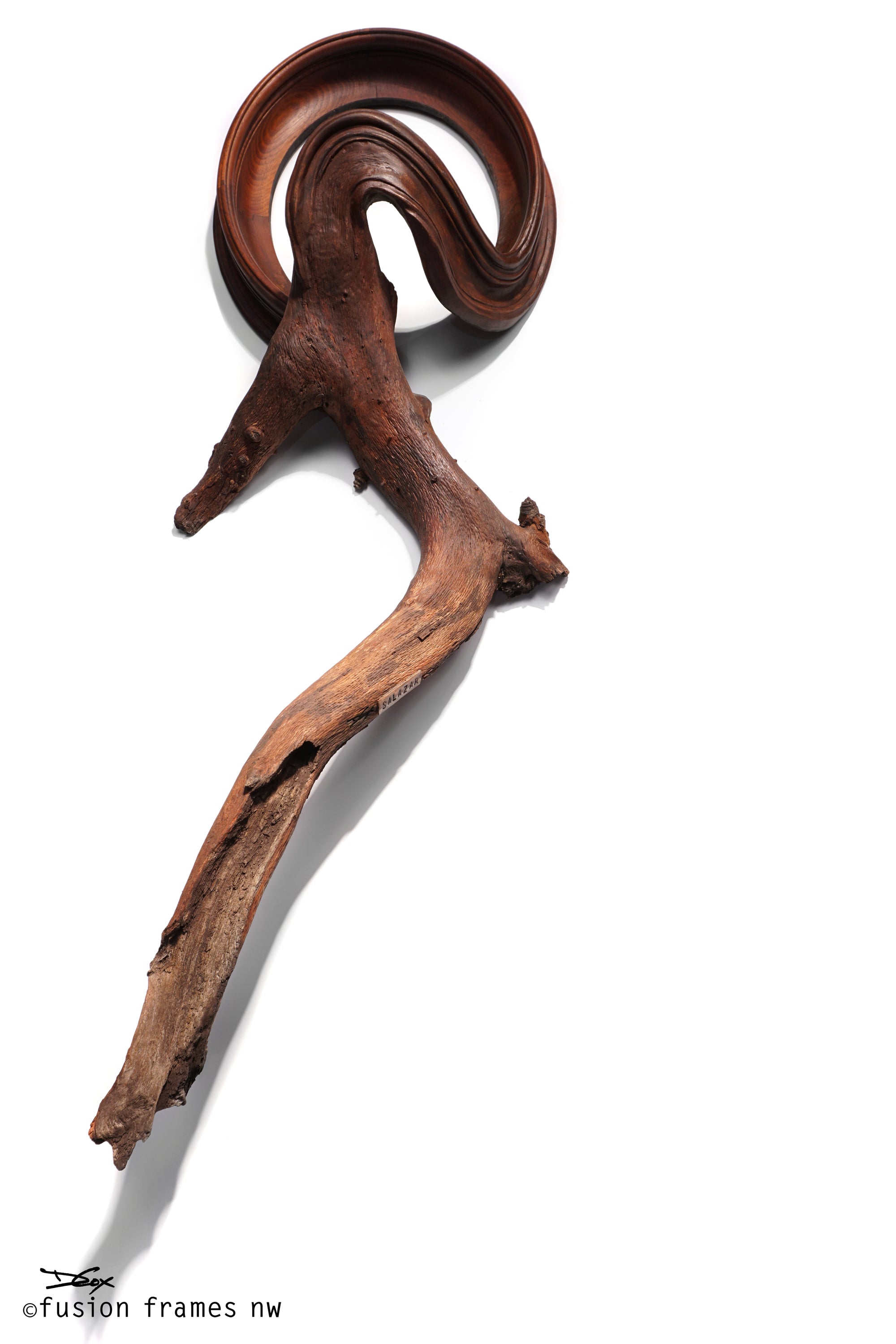 Fusion Frame Sculpture by Darryl Cox Jr - SALAZAR 4