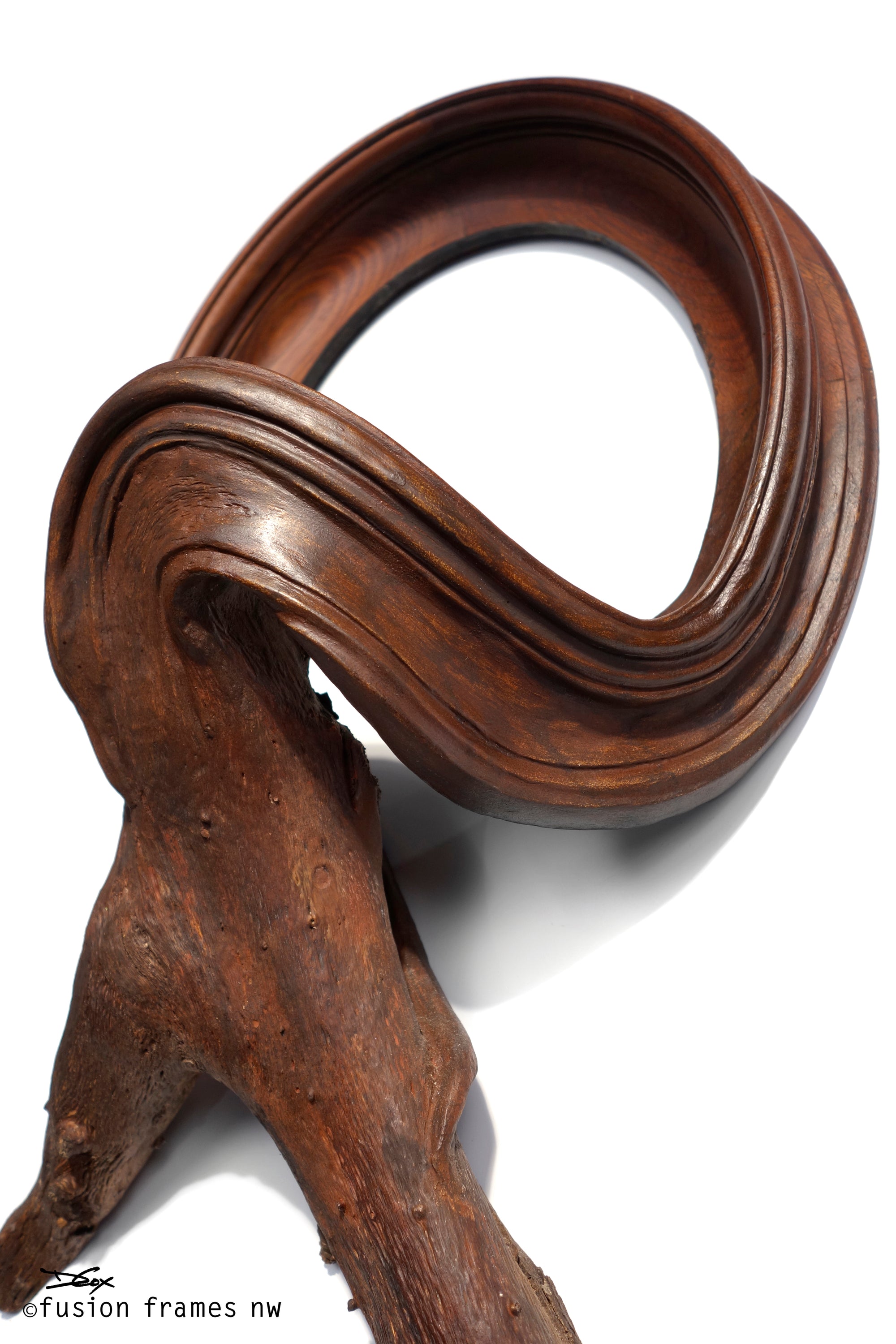 Fusion Frame Sculpture by Darryl Cox Jr - SALAZAR 6