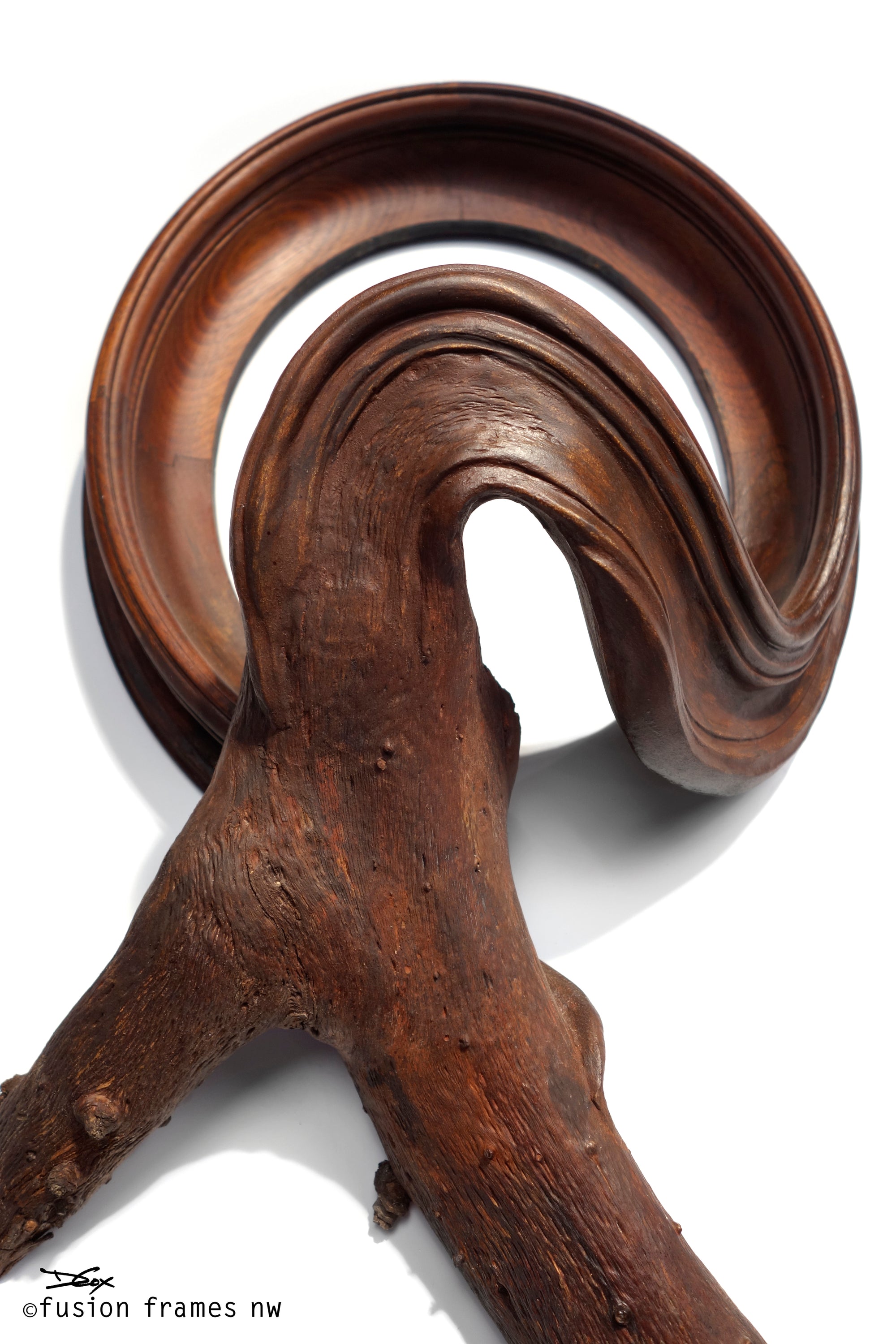 Fusion Frame Sculpture by Darryl Cox Jr - SALAZAR 7