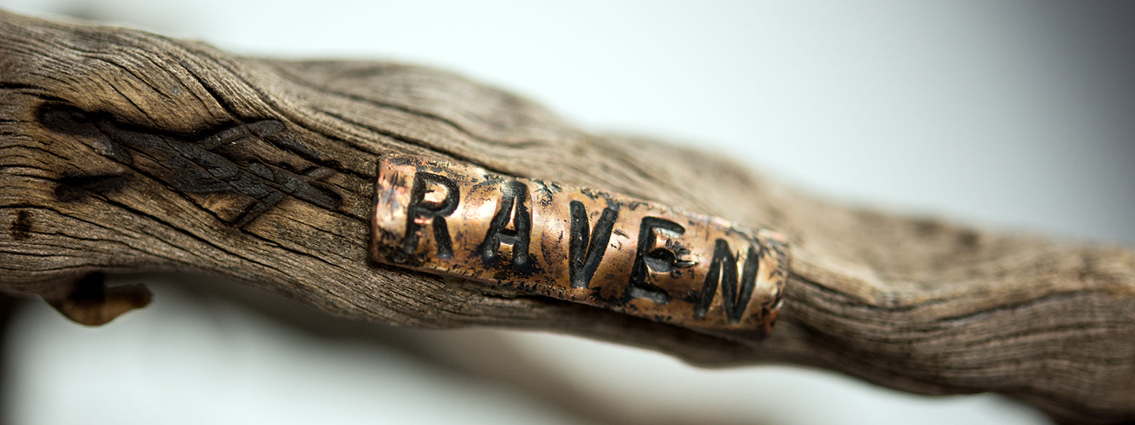 Fusion Frame Sculpture: RAVEN, by Darryl Cox, Jr.